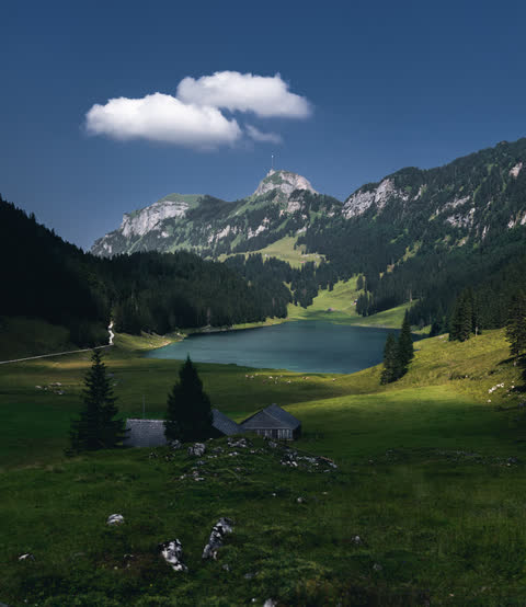 an alpine meadow and lake below rocky mountain peaks under a blue sky
